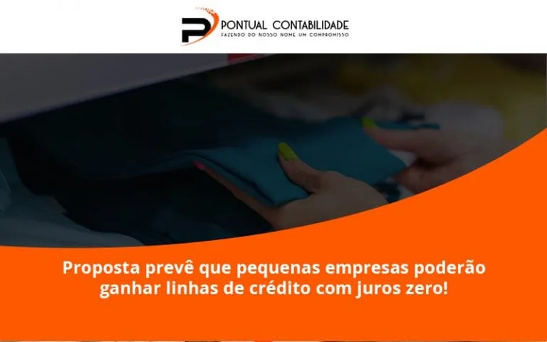 Proposta Prevê Que Pequenas Empresas Poderão Ganhar Linhas De Crédito Com Juros Zero Pontual Contadores - Contabilidade em Mogi das Cruzes - SP | Pontual Contabilidade