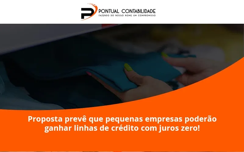 Proposta Prevê Que Pequenas Empresas Poderão Ganhar Linhas De Crédito Com Juros Zero Pontual Contadores - Contabilidade em Mogi das Cruzes - SP | Pontual Contabilidade