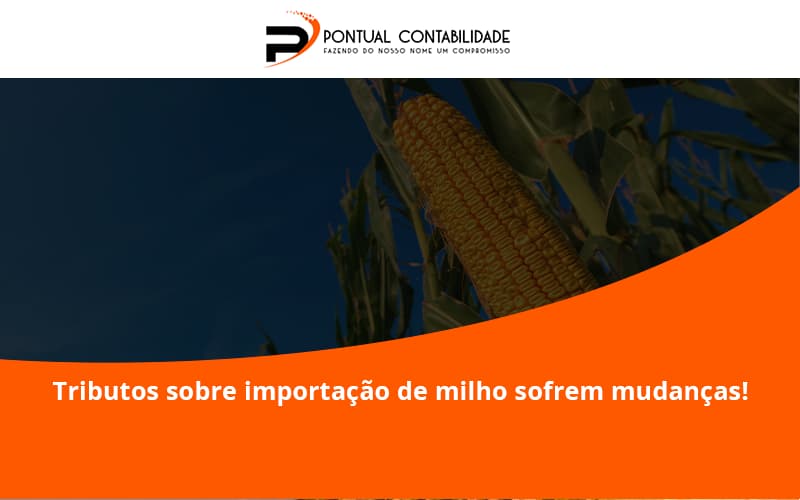 Tributos Sobre Importação De Milho Sofrem Mudanças! Pontual Contadores - Contabilidade em Mogi das Cruzes - SP | Pontual Contabilidade