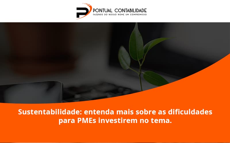 Sustentabilidade Pontual Contadores - Contabilidade em Mogi das Cruzes - SP | Pontual Contabilidade - Sustentabilidade: entenda mais sobre as dificuldades para PMEs investirem no tema