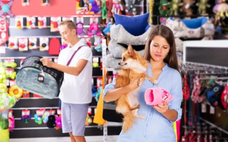 Regime Tributário Para Clínicas E Pet Shops Como Escolher O Mais Vantajoso E Economizar - Contabilidade em Mogi das Cruzes - SP | Pontual Contabilidade