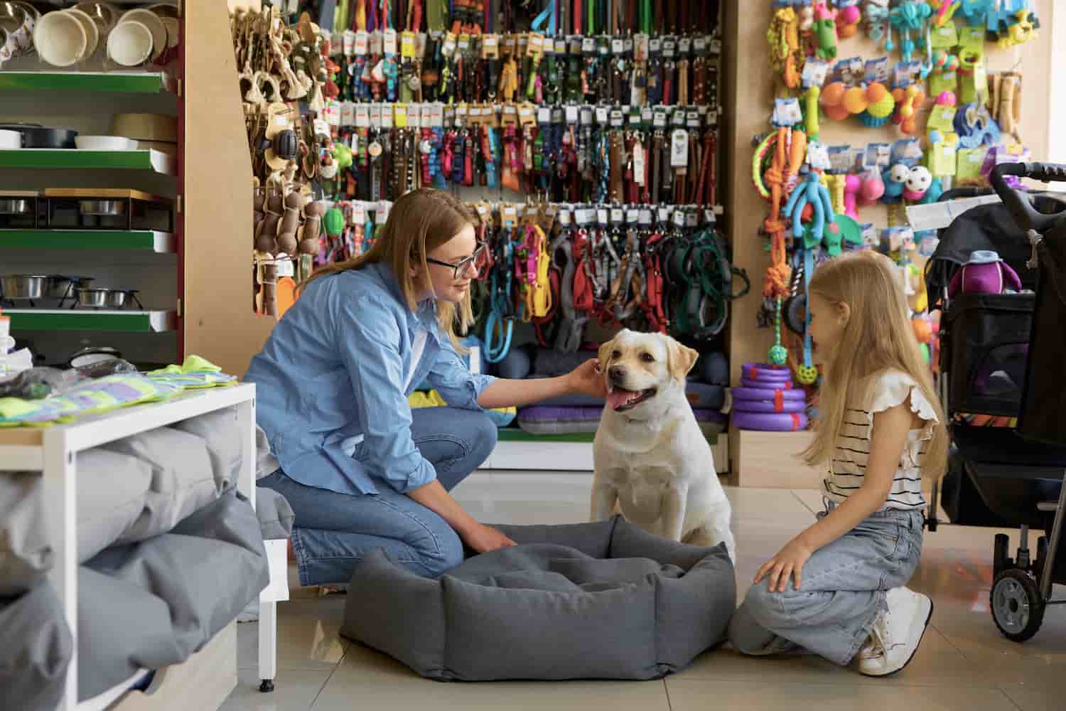 Cnpj Pet Shop - Contabilidade em Mogi das Cruzes - SP | Pontual Contabilidade