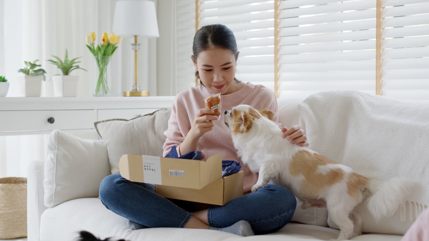 Petshop Delivery - Contabilidade em Mogi das Cruzes - SP | Pontual Contabilidade