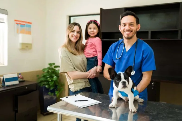 Licença Sanitária Para Clínica Veterinária - Contabilidade em Mogi das Cruzes - SP | Pontual Contabilidade