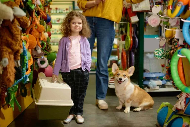 Recuperação De Crédito Tributário Para Pet Shops - Contabilidade em Mogi das Cruzes - SP | Pontual Contabilidade