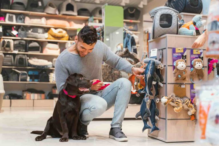 Como Abrir Um Petshop Em Mogi Das Cruzes - Contabilidade em Mogi das Cruzes - SP | Pontual Contabilidade